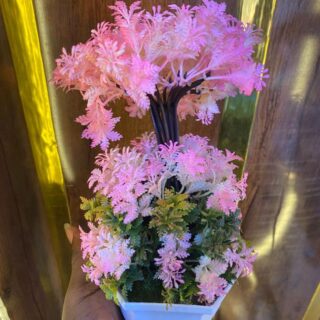 Table/Shelf Flower 🌸✨