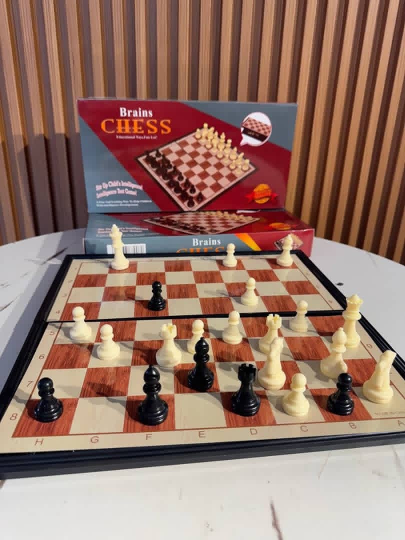 Big Brains Magnetic Chess Game ♟️